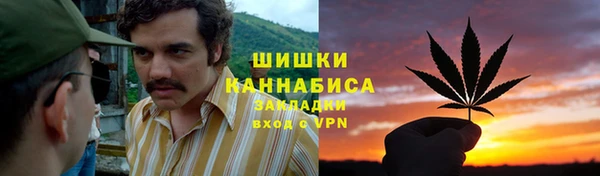 apvp Богородицк