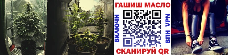 где найти наркотики  гидра зеркало  ТГК вейп  Старица 