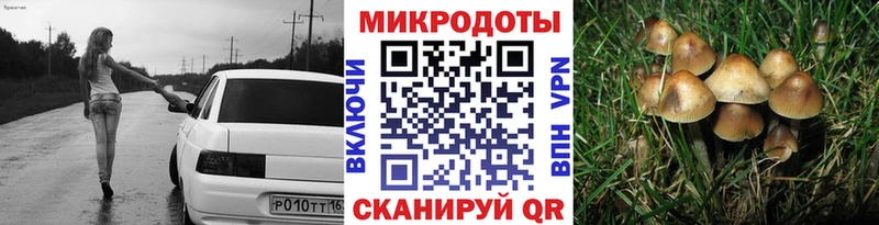 Псилоцибиновые грибы MAGIC MUSHROOMS  MEGA вход  Старица  купить  сайты 